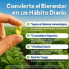 Aceite de Orégano + Aceite de Semilla Negra y Moringa