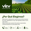 Aceite de Orégano + Aceite de Semilla Negra y Moringa