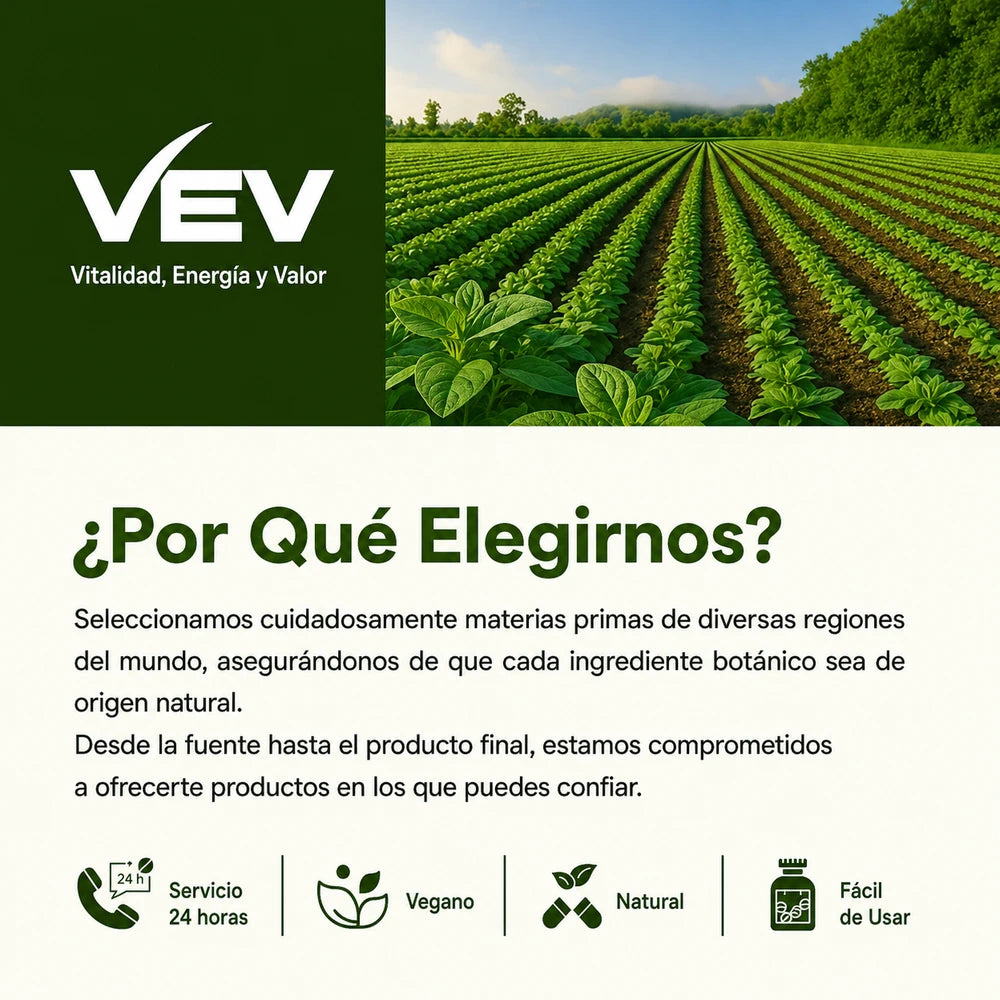 Aceite de Orégano + Aceite de Semilla Negra y Moringa